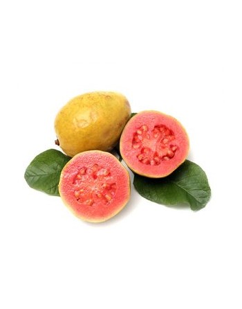 Pulpa de Guayaba 1 kilo.