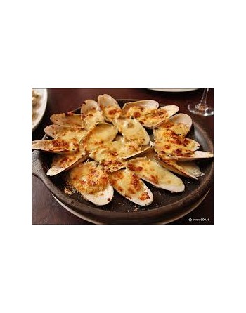 Machas Parmesana 10 Un.